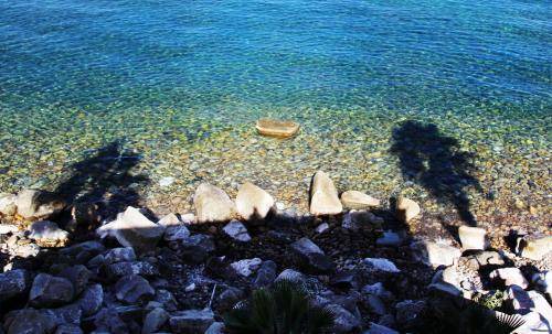 Marina di Caronia Apartment | 18 m² Apartment ∙ 1 bedroom ∙ 2 guests