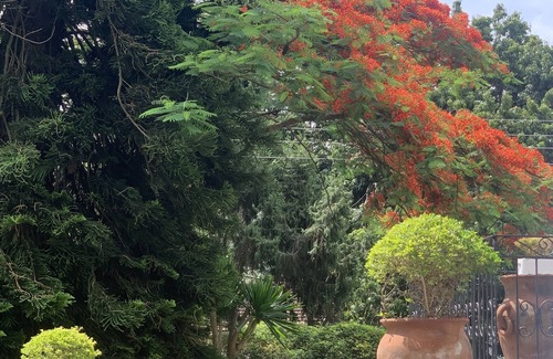 Greendale Cottage | 2 bedroom cottage in the leafy suburb of Greendale