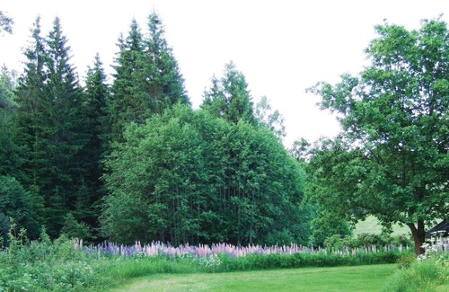 Tocksfors House | 2 bedroom nice home in Töcksfors