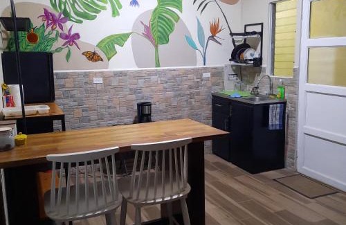Agonia Apartment | 2 Room 1 ba close to SJO airport, Poás and waterfalls