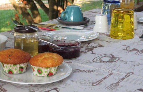 Castellamonte Bed & Breakfast | 20 m² Bed and breakfast ∙ 4 guests