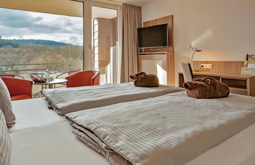 Buerdenbach Hotel | 20 m² Hotel ∙ 1 bedroom ∙ 1 guest