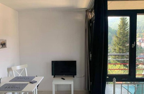 Bad Wildbad Apartment | 22 m² Apartment ∙ 1 bedroom ∙ 2 guests