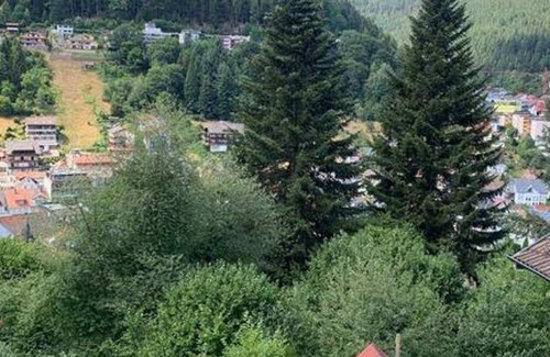 Bad Wildbad Apartment | 22 m² Apartment ∙ 1 bedroom ∙ 2 guests