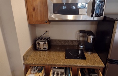 Crested Butte Apartment | 225 Large 2 bath Condo Suite Sleeps 6 at Base Area