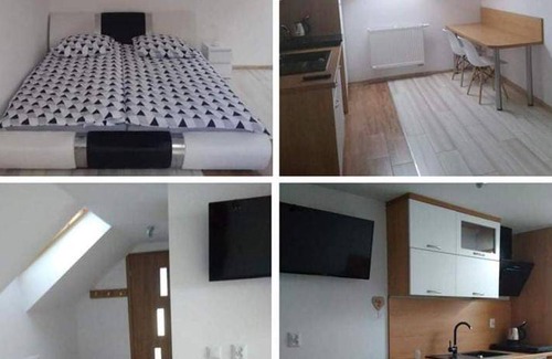 Ochotnica Dolna Apartment | 25 m² Apartment ∙ 3 guests