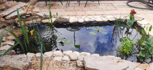 Safed Apartment | 25 m² Apartment ∙ 1 bedroom ∙ 4 guests