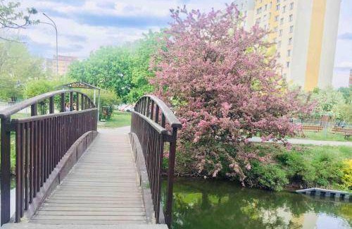 Bielany Apartment | 25 m² Apartment ∙ 1 bedroom ∙ 2 guests