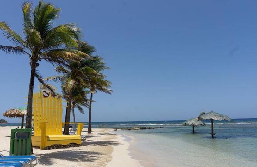 Las Palmas Bed & Breakfast | 25 m² Bed and breakfast ∙ 10 guests