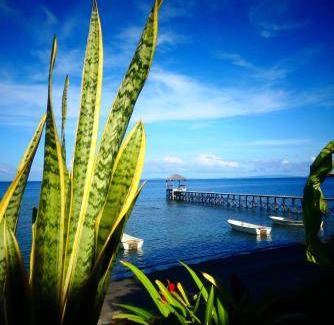 Pulau Unauna Bed & Breakfast | 25 m² Bed and breakfast ∙ 2 guests
