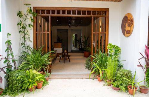 Dhigurah Bed & Breakfast | 25 m² Bed and breakfast ∙ 2 guests