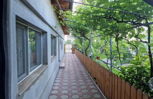 Sulina Bed & Breakfast | 25 m² Bed and breakfast ∙ 3 guests