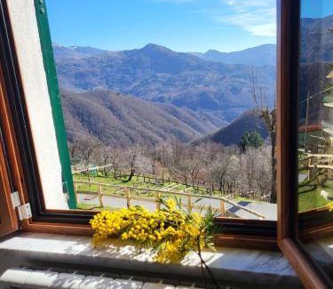 Borzonasca Bed & Breakfast | 25 m² Bed and breakfast ∙ 4 guests