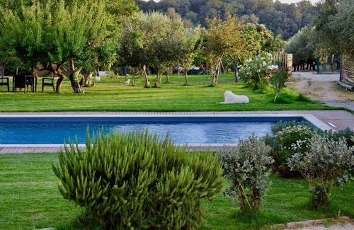 Serre Resort | 25 m² Private room ∙ 3 guests