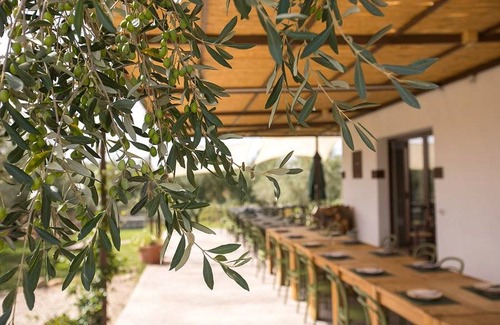 Serre Resort | 25 m² Private room ∙ 3 guests
