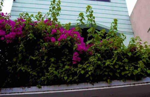 Tho Quang Beach House | 270 m² House ∙ 3 bedrooms ∙ 6 guests