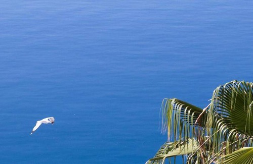 Ermionida Apartment | 280 m² Apartment ∙ 4 bedrooms ∙ 10 guests
