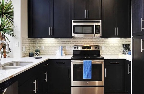Astrodome Apartment | 2BR/2BA Medical Center & Museum District Across MD Anderson, Minutes to Downtown
