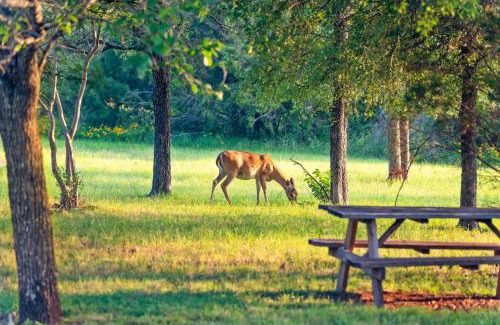 Marble Falls House | 2br Texas Countryside Home w Hot Tub