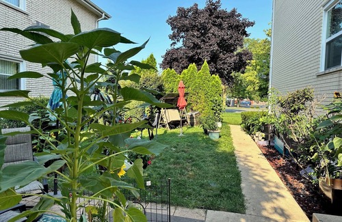 La Grange Apartment | 3 bedroom Condo on Lagrange