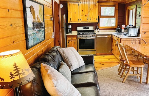 Cook Cabin | 3-BR 1BA cabin ON VERMILION with wifi, beach, sauna, beach, game room, tennis