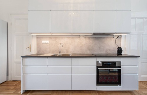 Nepszinhaz negyed Apartment | 3 BR Classical Apartment With a Modern Touch