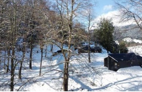 Ruminano Cabin | 3-cabañas Altos del Sollipulli