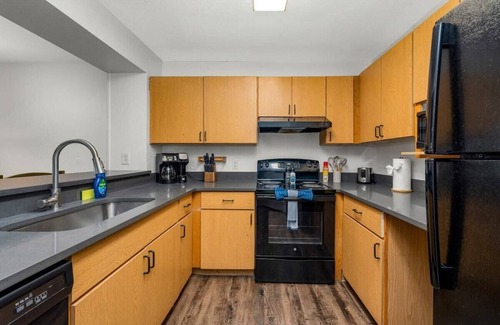 Bearss Plaza Apartment | 3 MI to USF! Pool! GYM & Pet Friendly!