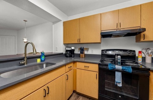 Bearss Plaza Apartment | 3 MI to USF! Pool! GYM & Pet Friendly!