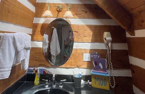 Pittsfield Other | 3 story log home with walkout basement, 27 acres, & pond in central Pike County!
