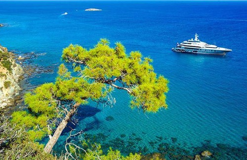 Pegeia Hotel | 30 m² Hotel ∙ 127 guests