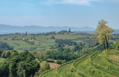 Strigova House | 34 m² House ∙ 2 bedrooms ∙ 5 guests