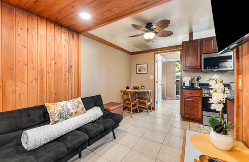 Hilo Condo | 35 m² Condo ∙ 2 guests
