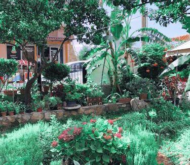 Dhermi Hotel | 35 m² Hotel ∙ 4 guests