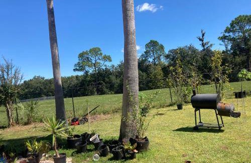 Poinciana Bed & Breakfast | 37 m² Bed and breakfast ∙ 2 guests