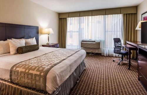 Chester Hotel | 37 m² Hotel ∙ 127 guests