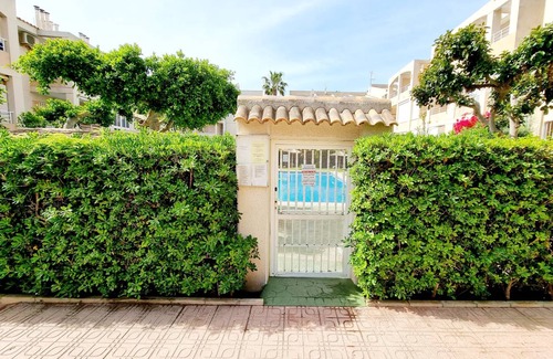 Torrevieja Apartment | 38 m² Apartment ∙ 1 bedroom ∙ 3 guests