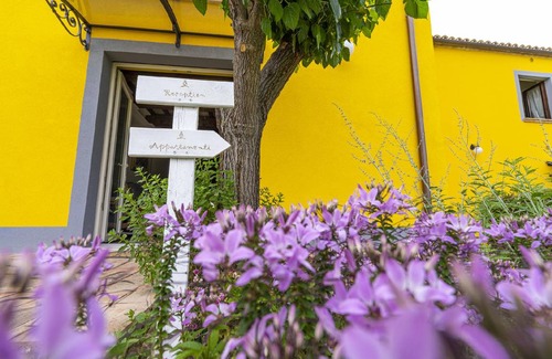 Cessapalombo Apartment | 39 m² Apartment ∙ 1 bedroom ∙ 3 guests