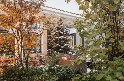 Chaussee-d'Antin Hotel | 39 m² Hotel ∙ 127 guests