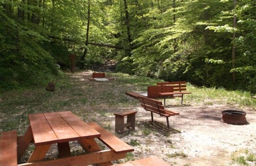 Lejunior Cabin | 3BR, 2 Bath Cabin with full kitchen, living room, hot tub and spacious backyard.
