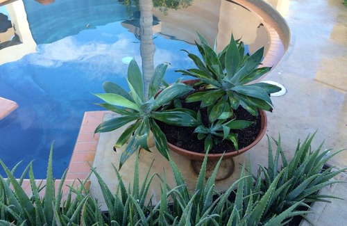 Llanos Tuna Bed & Breakfast | 4 Casitas