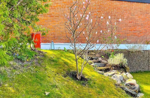 Stenungsund House | 4 person holiday home in STENUNGSUND