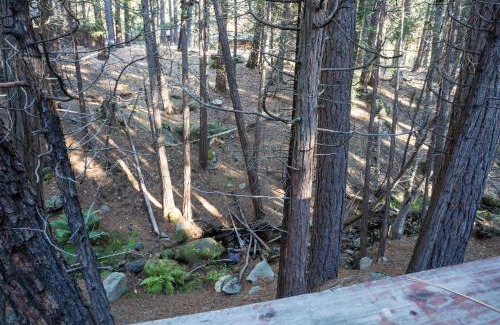 North Wawona Ski Chalet | 4 Pine Creek Cabin
