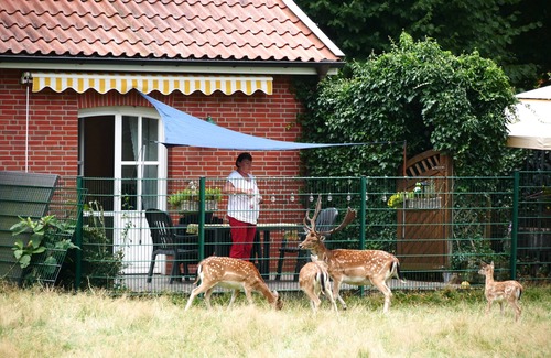 Haseluenne Apartment | 4-star disabled-friendly non-smoking apartment; pets on request
