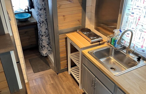 Hico Cabin | 4 Tiny Town Modern Tiny Home Animals Fire Pit