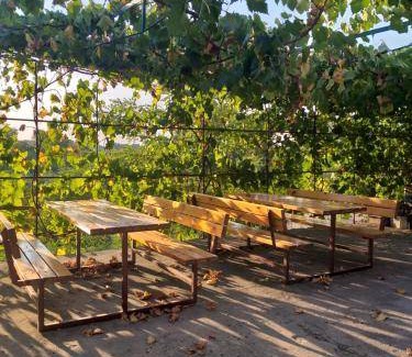 Csaszartoltes Bed & Breakfast | 40 m² Bed and breakfast ∙ 2 bedrooms ∙ 6 guests