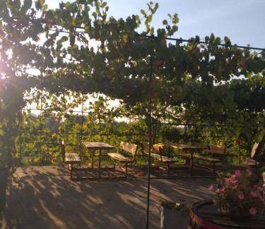 Csaszartoltes Bed & Breakfast | 40 m² Bed and breakfast ∙ 2 bedrooms ∙ 6 guests