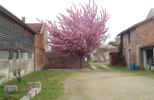 Loisy-sur-Marne Apartment | 40 sqm apartment has an entrance hall, a large living room