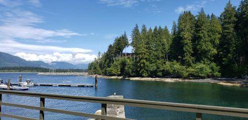 Port Renfrew Ski Chalet | 42 m² Chalet ∙ 1 bedroom ∙ 4 guests