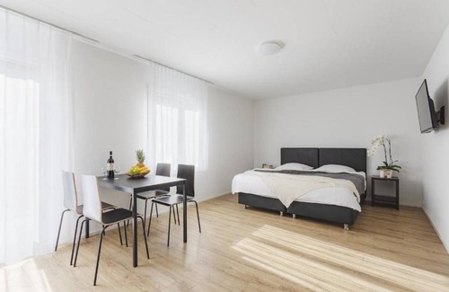 Alt-Wiedikon Apartment | 43 m² Apartment ∙ 2 bedrooms ∙ 2 guests